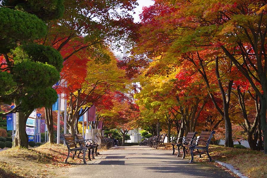 가을절정