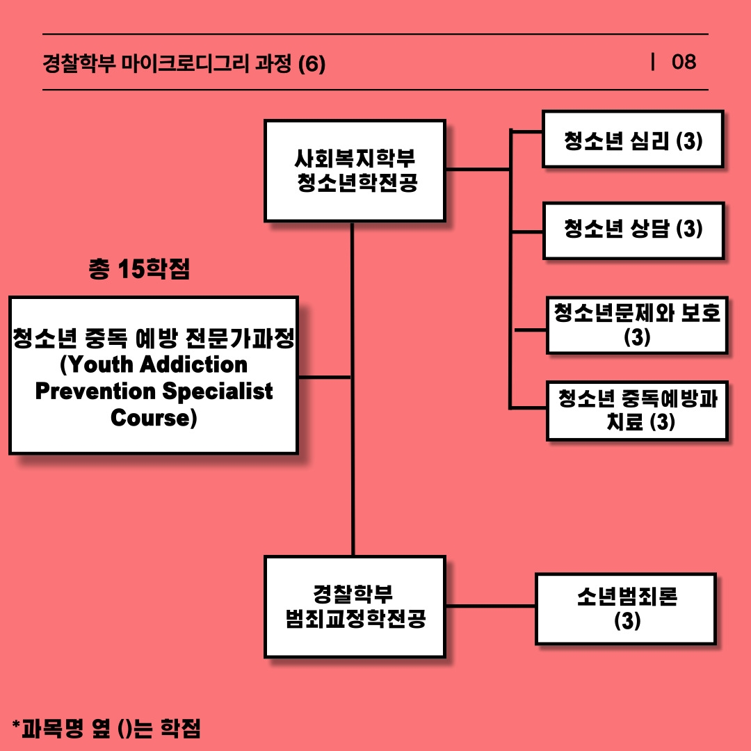 청소년 중독 예방 전문가 과정은 총 15학점 과정으로 범죄 교정학과 청소년학 전공의 융합 수업입니다. 범죄 교정학 수업으로는 소년 범죄론 과목과 청소년학 수업으로는 청소년 심리, 청소년 상담, 청소년 문제와 보호, 청소년 중독 예방과 치료를 수강하여야 이수 됩니다. 