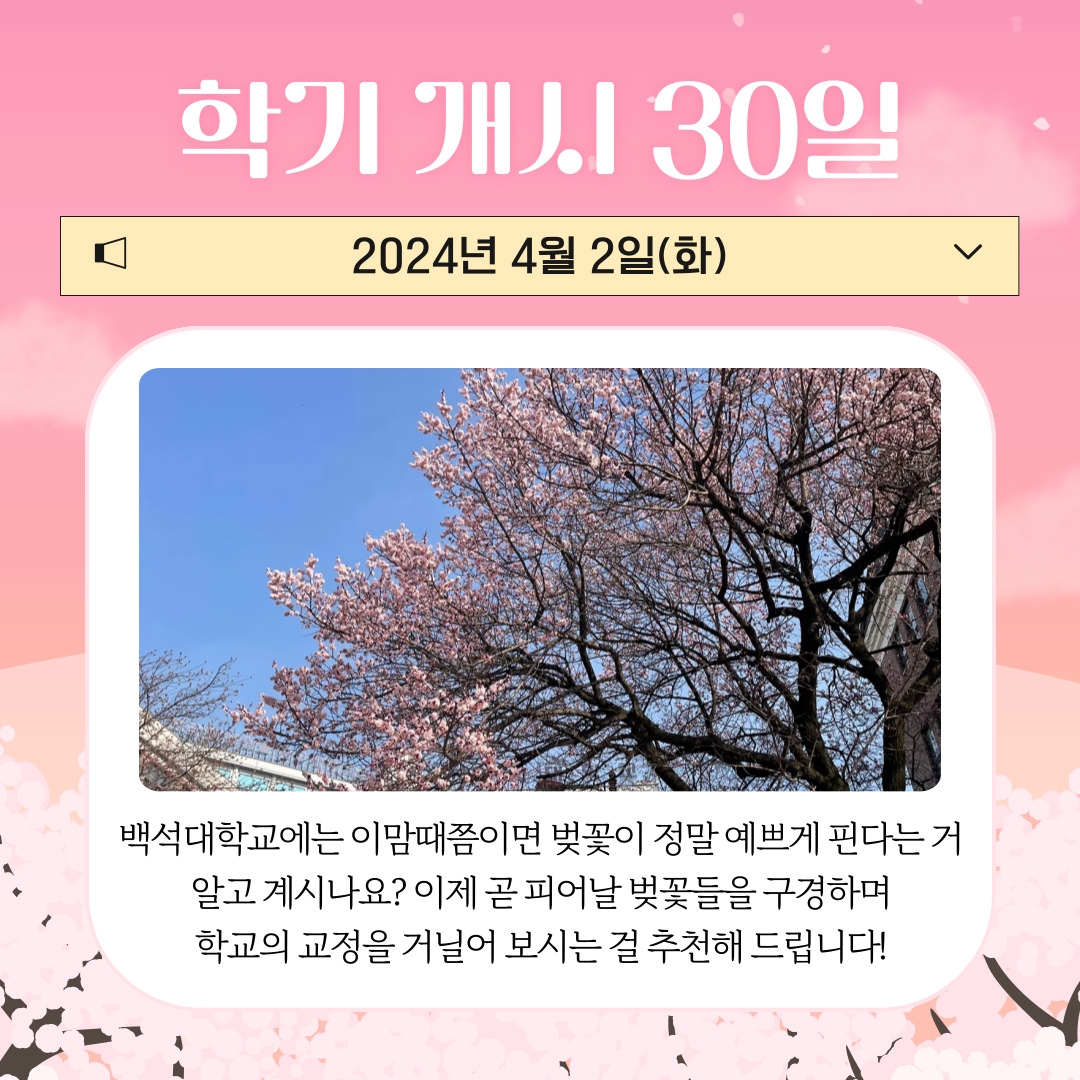 학기 개시 30일 2024년 4월 2일(화) 백석대학교에는 이맘때쯤이면 벚꽃이 정말 예쁘게 핀다는 거 알고 계시나요? 이제 곧 피어날 벚꽃들을 구경하며 학교의 교정을 거닐어 보시는 걸 추천해 드립니다!