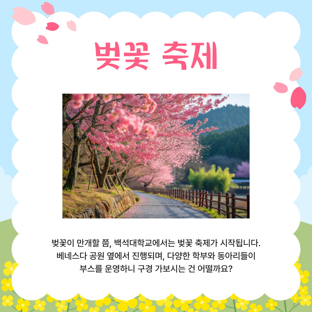 벚꽃 축제