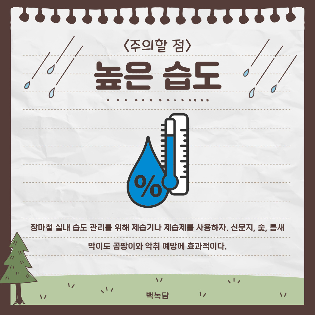 높은 습도