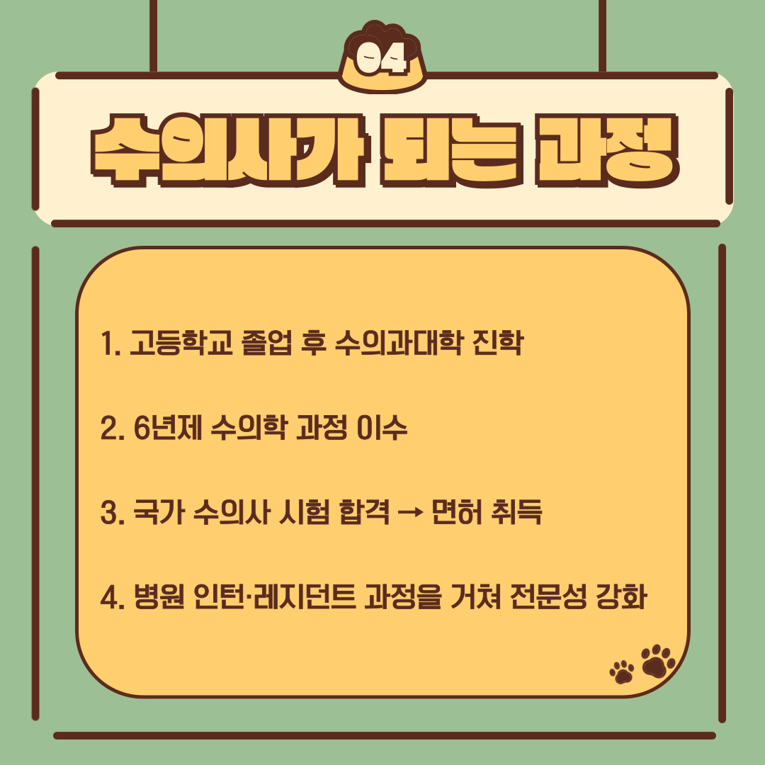 수의사가 되려면 고등학교 졸업 후 수의과대학에 진학하여 6년제 수의학 과정을 이수해야 합니다. 이후 국가수의사시험에 합격하면 면허가 주어지며, 필요에 따라 대학원 과정, 인턴·레지던트 과정을 통해 전문성을 강화할 수 있습니다.