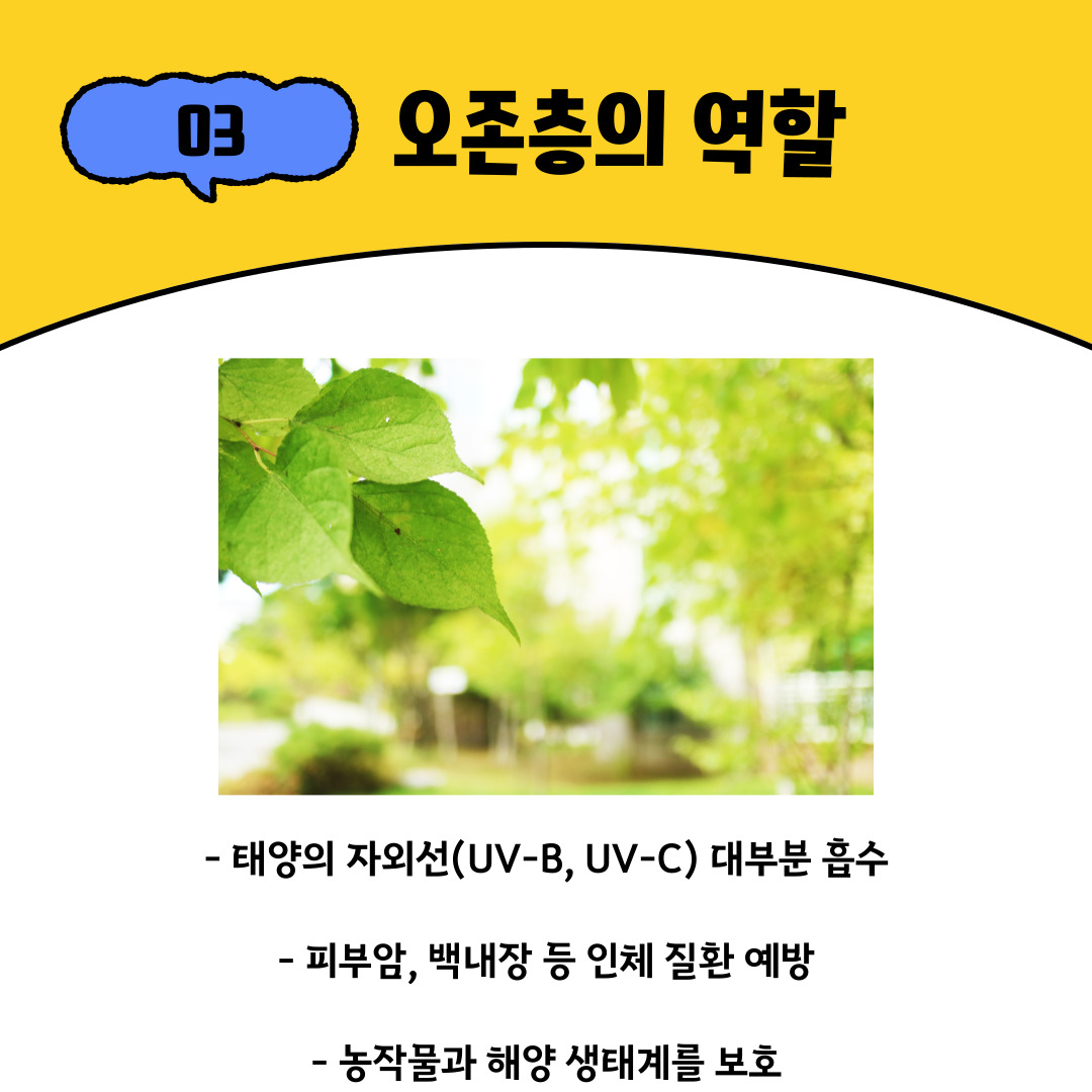 오존층의 가장 중요한 기능은 태양에서 내려오는 강력한 자외선(UV-B, UV-C)을 흡수하는 것입니다. 만약 오존층이 없다면 사람들은 피부암이나 백내장 같은 질환에 쉽게 노출될 수 있으며, 면역 체계가 약화될 수 있습니다. 또한 자외선은 농작물의 성장을 방해하고, 해양 생태계의 기초를 이루는 플랑크톤을 줄어들게 만들어 먹이사슬 전체에 악영향을 끼칠 수 있습니다. 따라서 오존층은 단순한 대기 현상이 아니라 인류와 자연 모두의 안전망이라 할 수 있습니다.