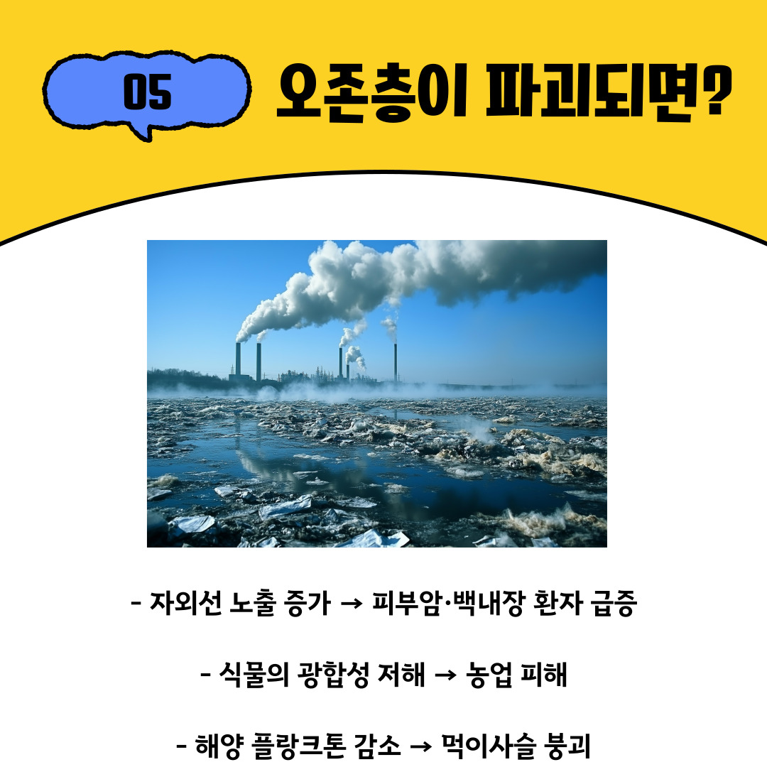 오존층이 파괴되면 지구는 즉각적인 피해를 입습니다. 강한 자외선 노출은 피부암과 백내장 환자의 급증을 불러오며, 인류의 건강을 심각하게 위협합니다. 또한 자외선이 식물의 광합성을 방해하여 농업 생산성이 떨어지고, 해양의 플랑크톤 개체 수가 줄어들어 어업 자원과 해양 생태계 전체가 붕괴될 수 있습니다. 결국 인류의 식량 안보와 경제적 안정성에도 직접적인 영향을 미치게 됩니다.
