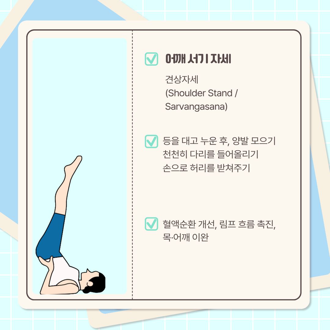  다음 자세는 ‘견상 자세’라고 불리는 ‘어깨 서기 자세’입니다. 등을 대고 누운 후 양발을 모아서, 천천히 다리를 들어 올립니다. 안정감을 위해 손으로 허리를 받쳐줍니다. 이 스트레칭은 혈액순환 개선에도 도움이 되고, 림프 흐름도 촉진 시킵니다. 또한, 목과 어깨가 이완되는 데 도움을 줍니다.