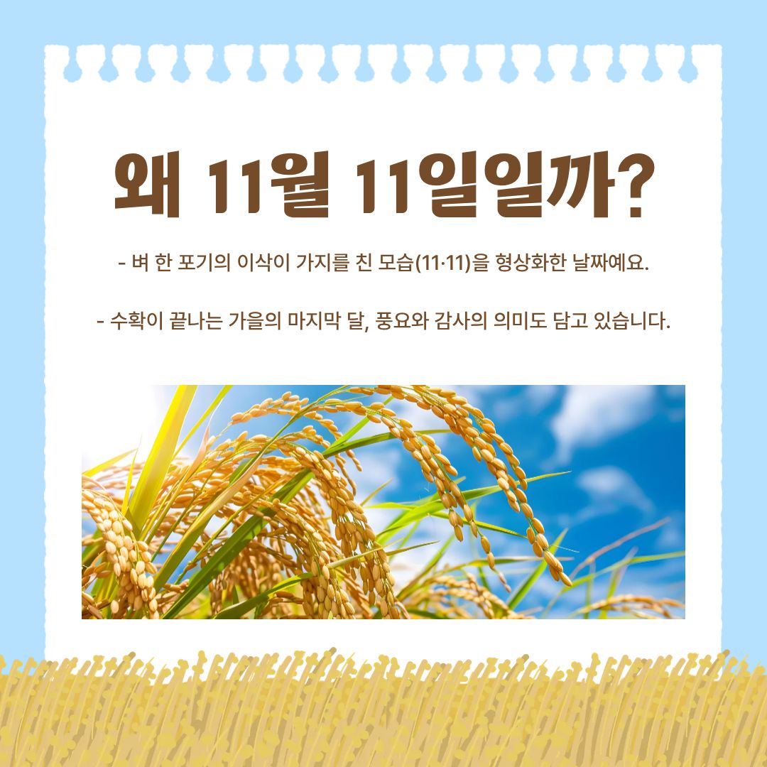 농업인의 날이 11월 11일로 정해진 이유는 여러 상징적 의미가 결합되어 있습니다. 첫째, 벼 한 포기의 이삭이 가지를 친 모습이 ‘11·11’과 닮아 농업·곡식의 상징성을 담습니다. 둘째, 11월은 한 해 농사가 마무리되는 시기이며, 수확의 기쁨과 풍요로움, 그리고 농업인의 노고에 대한 감사의 마음을 전하기에 적절한 시기입니다. 이러한 배경은 농업이 단순히 경제적 산업을 넘어 우리의 삶과 계절과 전통문화 속에 깊이 뿌리내려 있음을 보여줍니다.