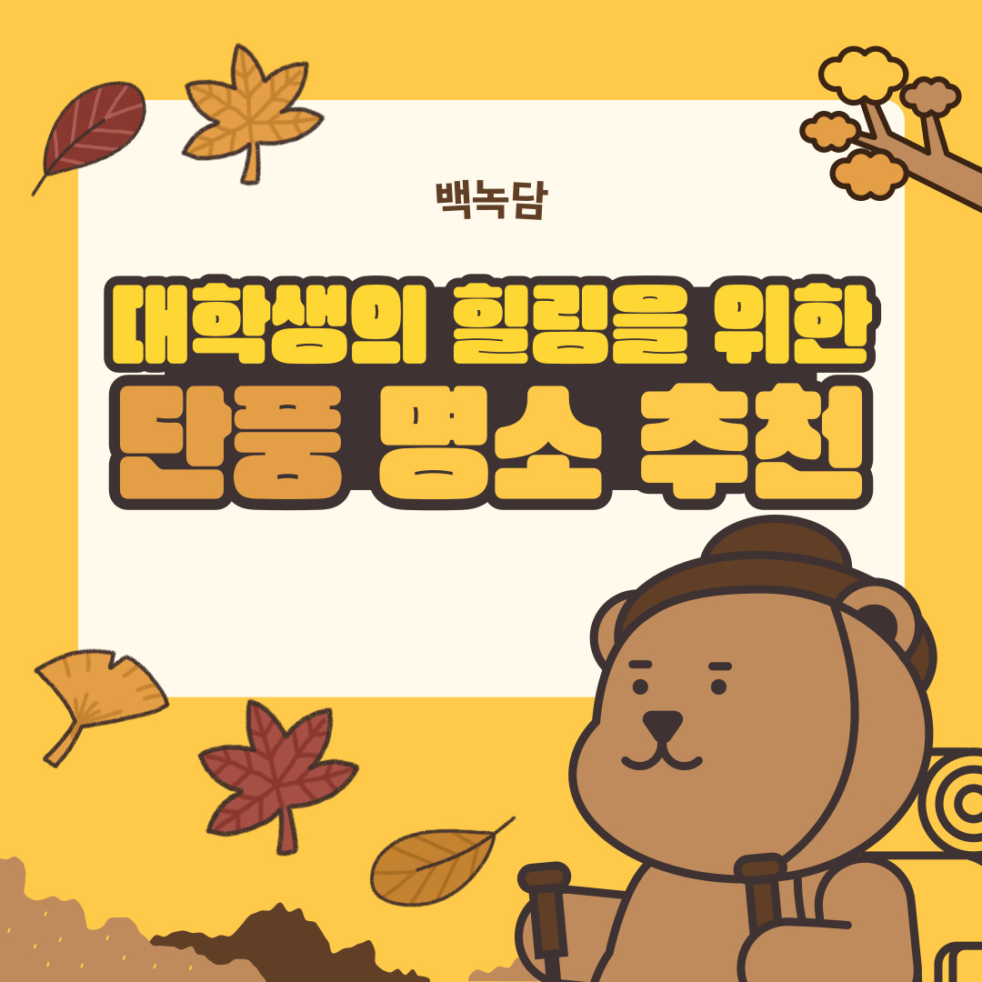 대학생의 힐링을 위한 단풍 명소 추천