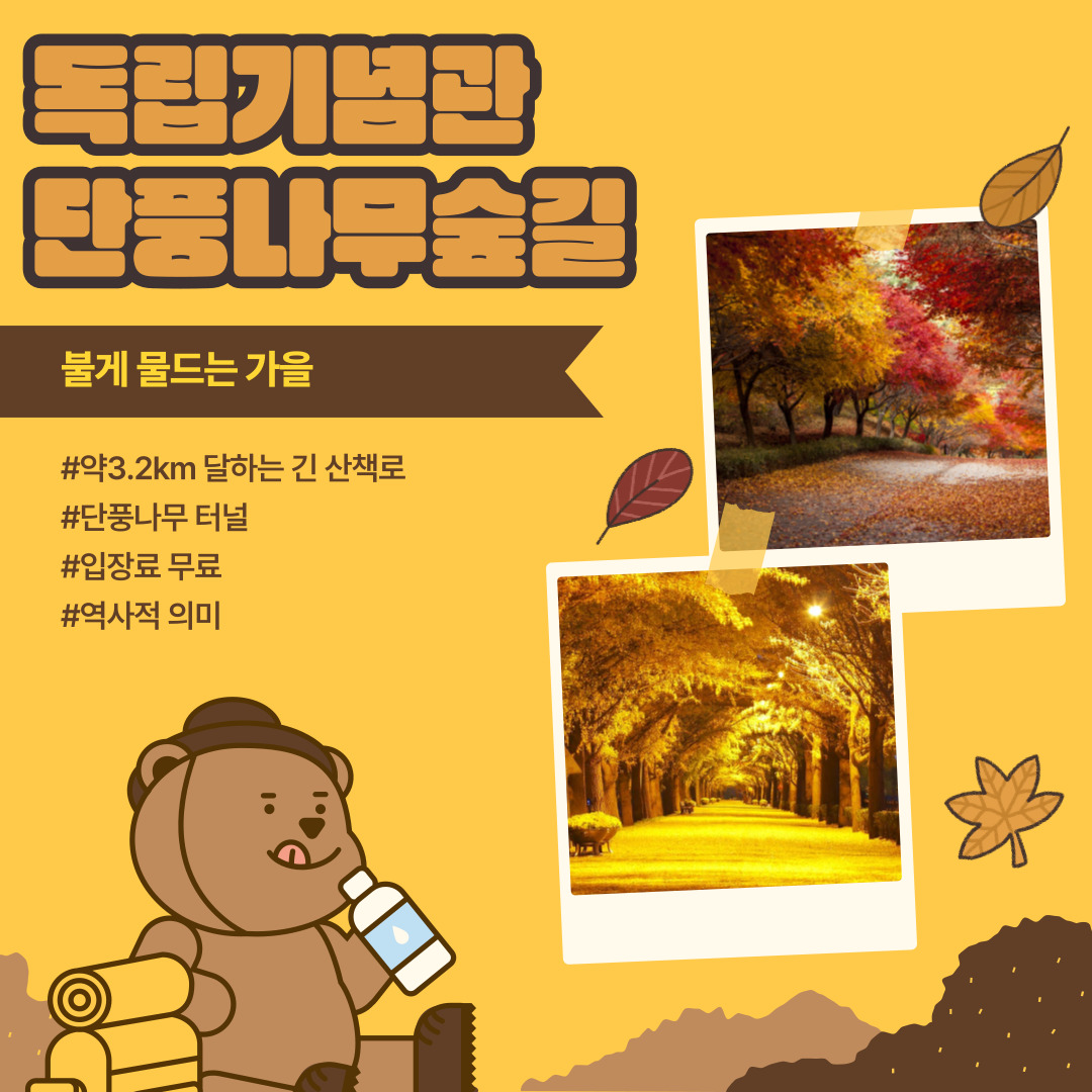 독립기념관 단풍나무숲길