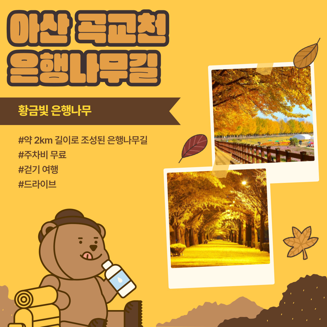 아산 곡교천 은행나무길