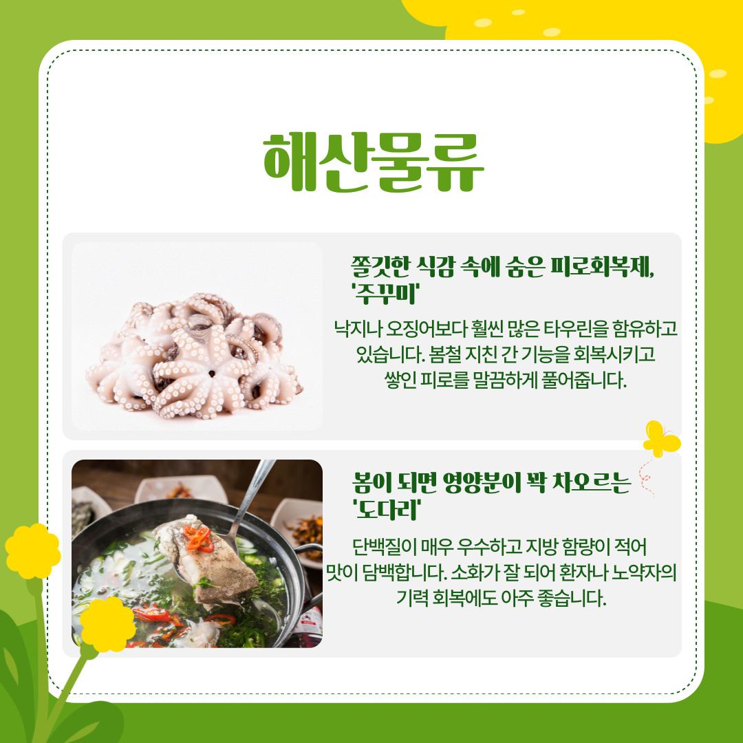 봄의 영양은 육지에만 머물지 않고 바다와 과일밭에서도 풍성하게 차오릅니다. 해산물 중 봄의 제왕이라 불리는 '주꾸미'는 쫄깃한 식감 속에 강력한 피로회복제를 숨기고 있습니다. 시중에서 파는 에너지 드링크의 주성분이기도 한 '타우린'이 낙지나 오징어보다 훨씬 풍부하게 들어있어, 과음이나 철야 작업으로 지친 간 기능을 회복시키고 쌓인 피로를 말끔하게 풀어줍니다. 봄이 되면 영양분이 꽉 차오르는 '도다리' 역시 주목해야 합니다. 쑥과 함께 끓여내는 도다리 쑥국은 봄철 최고의 보양식으로 꼽히는데, 단백질이 매우 우수하고 지방 함량이 적어 맛이 담백하며 소화 흡수율이 높아 기력 회복에 아주 좋습니다.