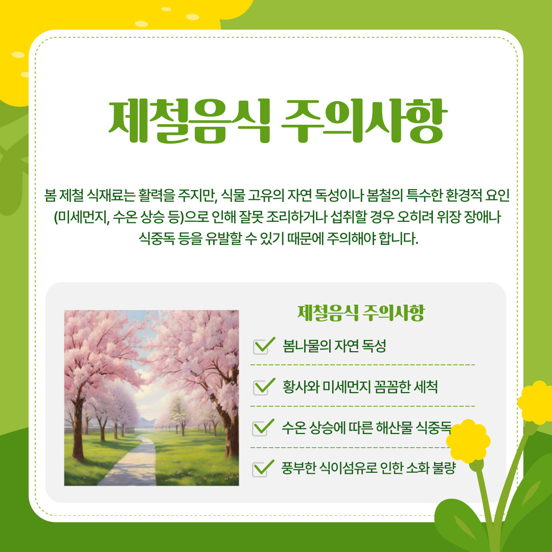 하지만 제철 음식이 무조건 득이 되는 것만은 아닙니다. 생존을 위해 직접 요리를 해 먹는 자취생들이 반드시 숙지해야 할 주의사항이 있습니다. 봄 제철 식재료는 식물 고유의 자연 독성이나 미세먼지 등 특수한 환경적 요인으로 인해 잘못 조리하거나 섭취할 경우 오히려 심각한 위장 장애나 식중독을 유발할 수 있습니다. 첫째, 두릅, 다래순, 고사리 등 일부 봄나물에는 미량의 자연 독성이 존재하므로 절대 생으로 먹어서는 안 되며, 반드시 끓는 물에 충분히 데친 후 찬물에 헹궈 독성을 빼내고 섭취해야 합니다. 둘째, 봄철은 황사와 미세먼지가 극심한 시기이므로 채소나 과일의 표면을 식초나 베이킹소다를 푼 물에 담가 두었다가 흐르는 물에 꼼꼼하게 세척하는 과정이 필수적입니다. 셋째, 수온이 서서히 상승하는 봄철에는 비브리오균이나 노로바이러스에 의한 해산물 식중독 위험이 도사리고 있으므로, 주꾸미나 해산물을 조리할 때는 중심부까지 완전히 익혀 먹어야 합니다. 마지막으로, 봄나물에 풍부한 식이섬유는 다이어트와 장 건강에 좋지만, 과도하게 섭취할 경우 오히려 소화 불량이나 가스를 유발할 수 있으므로 본인의 소화 능력에 맞게 적정량을 섭취하는 지혜가 필요합니다.