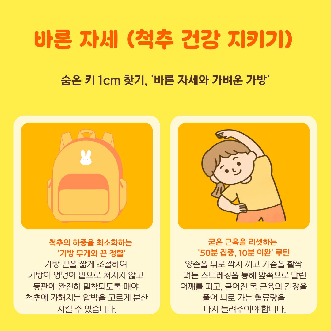 바른 자세 무거운 전공 서적과 랩톱, 태블릿 PC를 매일같이 짊어지고 다니는 대학생들의 척추는 소리 없는 비명을 지르고 있습니다. 숨은 키 1cm를 찾고 허리 디스크를 예방하기 위한 첫걸음은 '가방 무게와 끈 정렬'입니다. 가방 끈을 짧게 조절하여 무거운 가방이 엉덩이 밑으로 처지지 않고 등판에 완전히 밀착되도록 매야만 척추에 가해지는 하중을 고르게 분산시킬 수 있습니다. 또한, 장시간 책상이나 도서관에 앉아있을 때는 굳은 근육을 리셋하는 '50분 집중, 10분 이완' 루틴을 실천해야 합니다. 양손을 뒤로 깍지 끼고 가슴을 활짝 펴는 스트레칭으로 앞쪽으로 말린 라운드 숄더를 펴주고, 거북목을 방지하여 뇌로 가는 혈류량을 원활하게 늘려주어야 집중력이 올라갑니다.