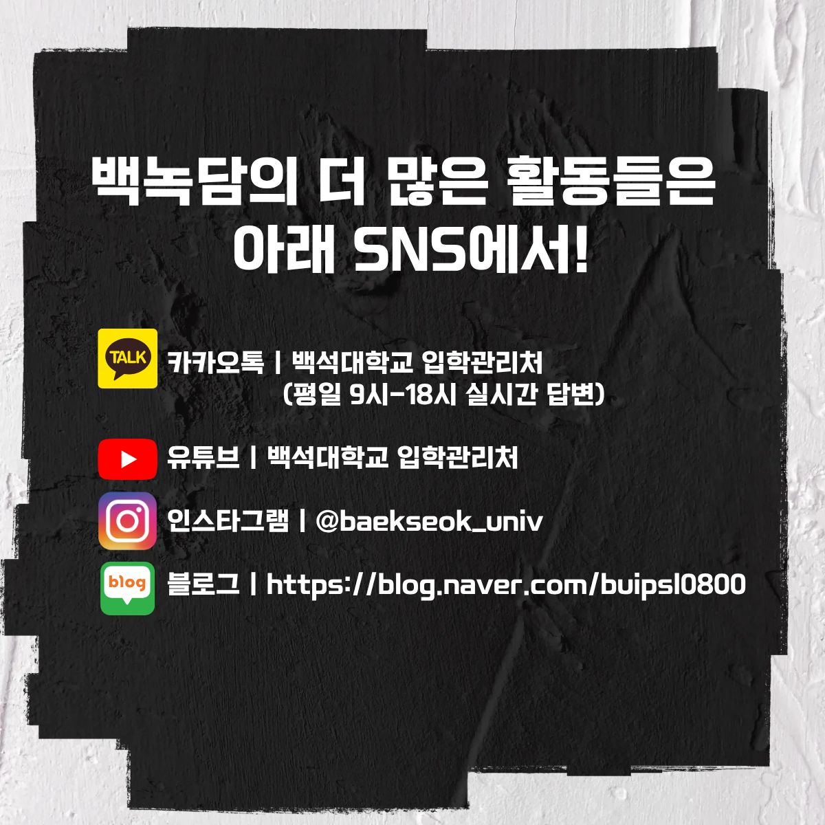 백녹담의 다양한 소식들