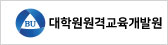 대학원원격교육개발원
