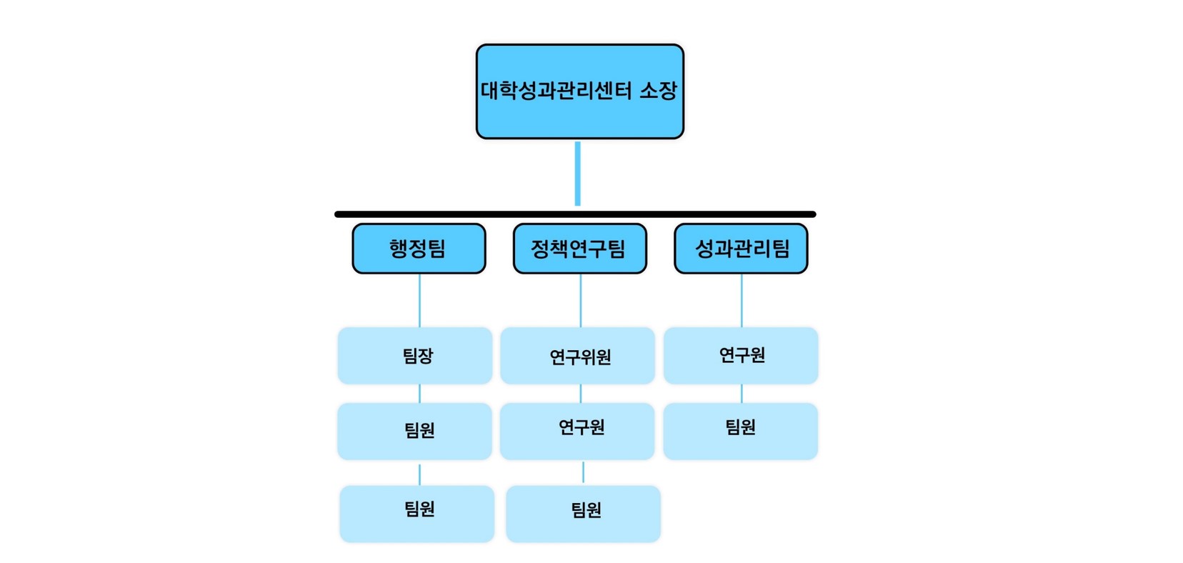 대학성과관리센터 조직도