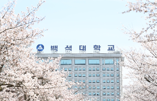 봄날 벚꽃 그리고 너 대표이미지