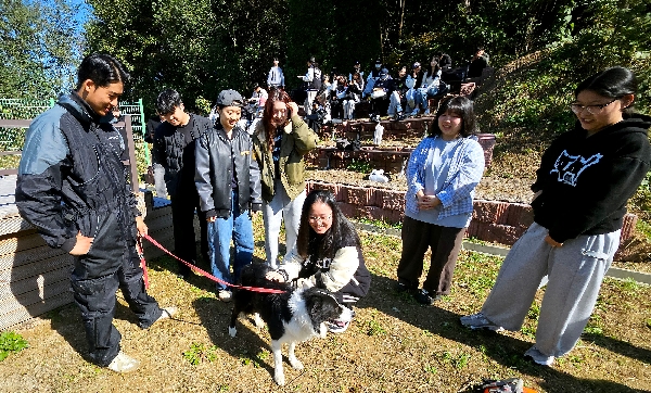 백석대 교양수업 ‘반려동물과 현대사회’, 학생들 사이 큰 인기 대표이미지